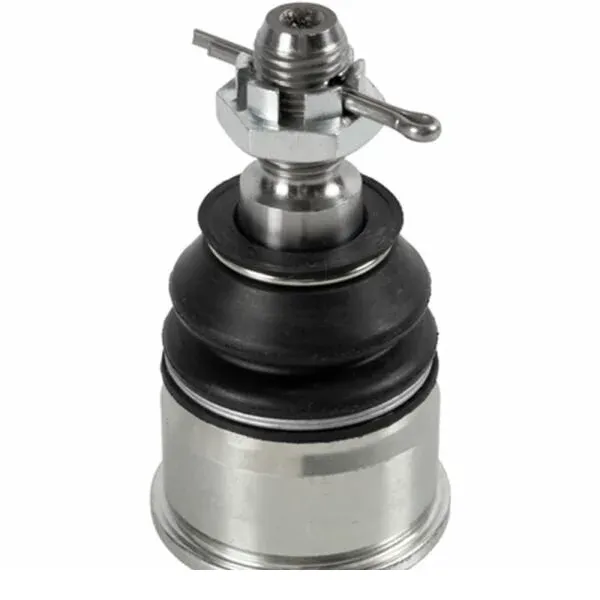 alwaysjdm3600167