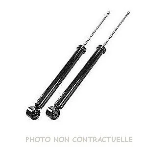 bouvier-auto3912513