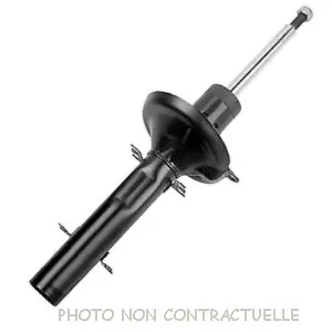 bouvier-auto3946721