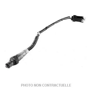 bouvier-auto3947793