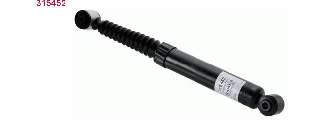 bouvier-auto3959426