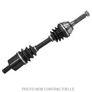 bouvier-auto3963653