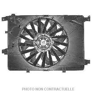 bouvier-auto4014396