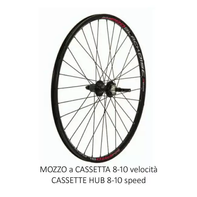 ridewill3358958