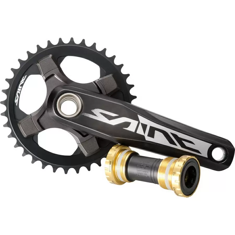 ridewill3368311