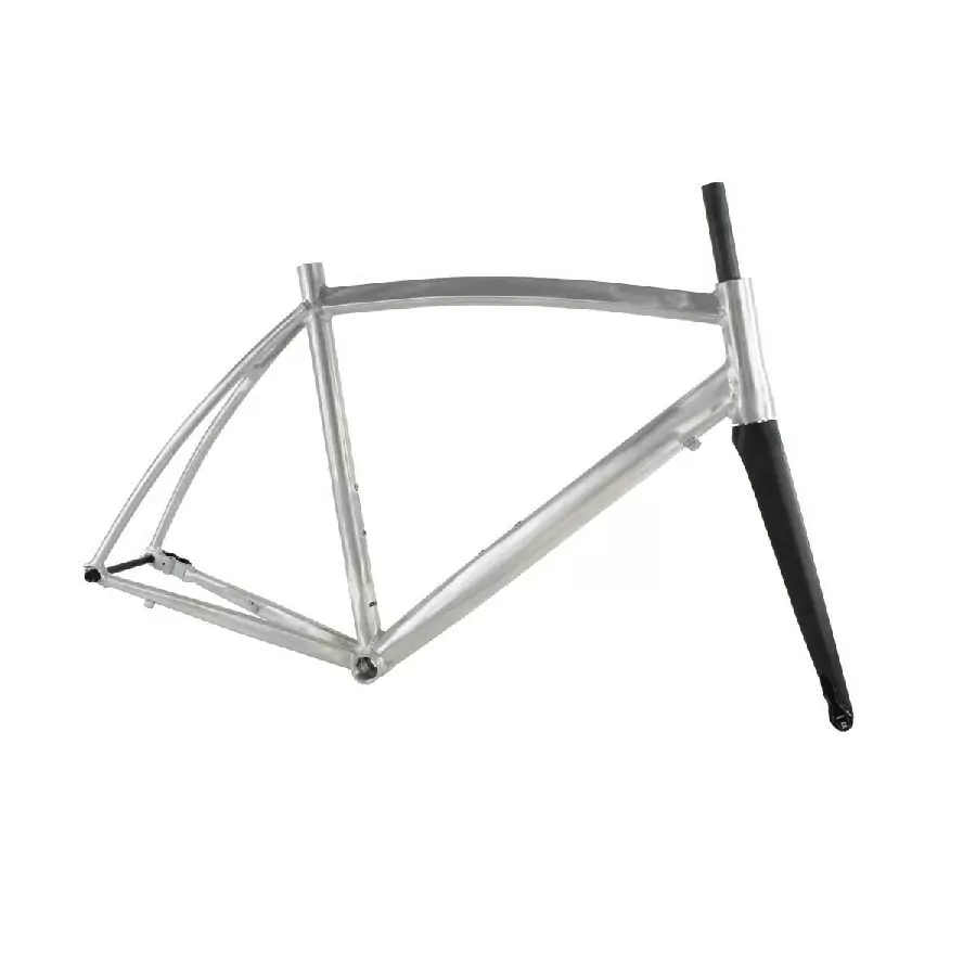 ridewill3469994