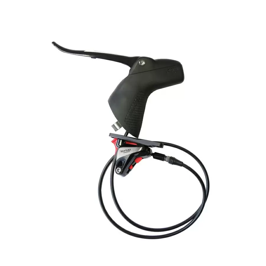 ridewill3482803