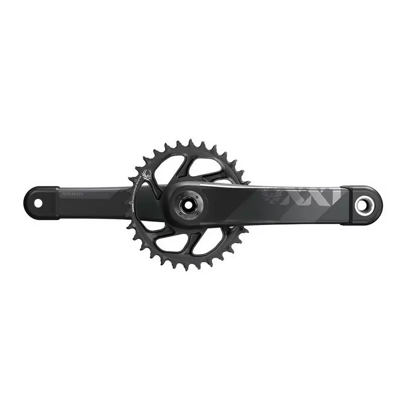 ridewill3518642