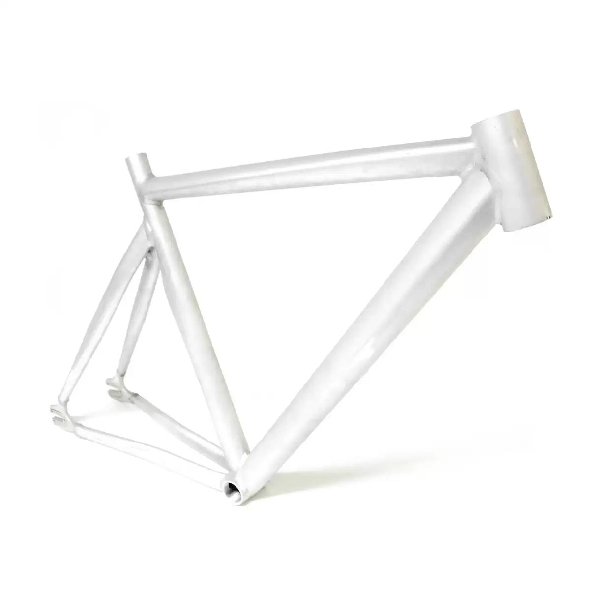 ridewill3537553