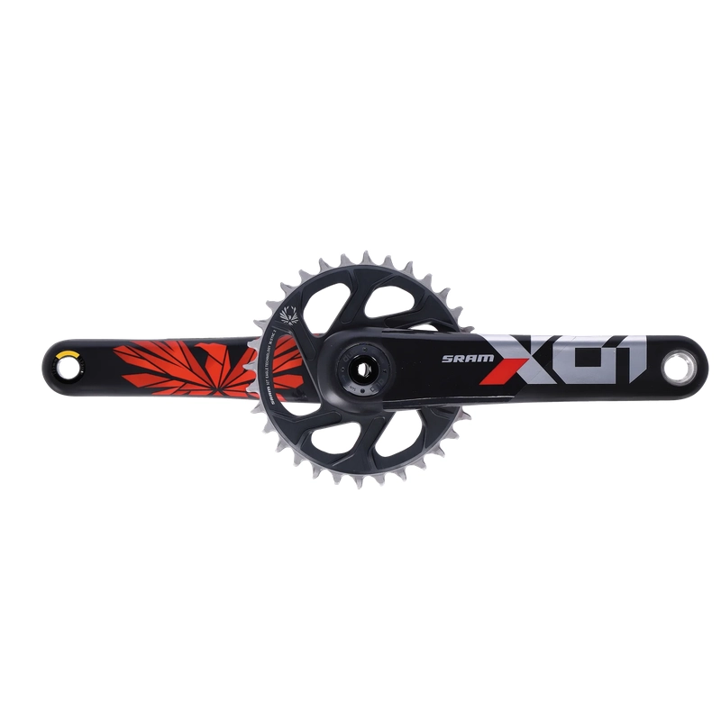 ridewill3556788
