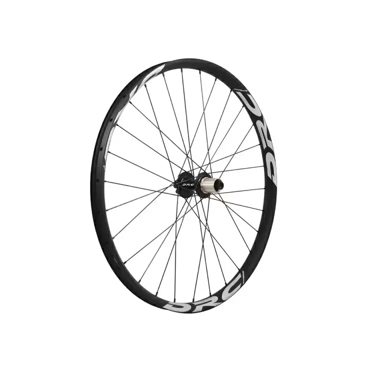 ridewill3567503