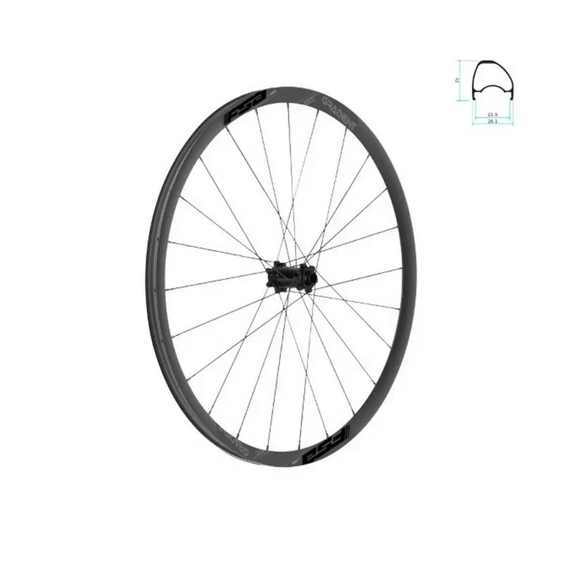 ridewill3634652