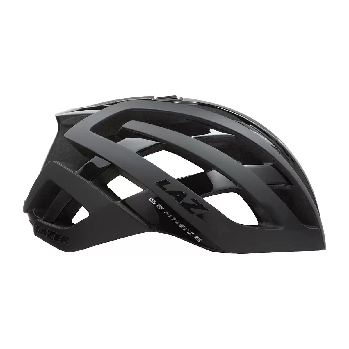 ridewill3652337