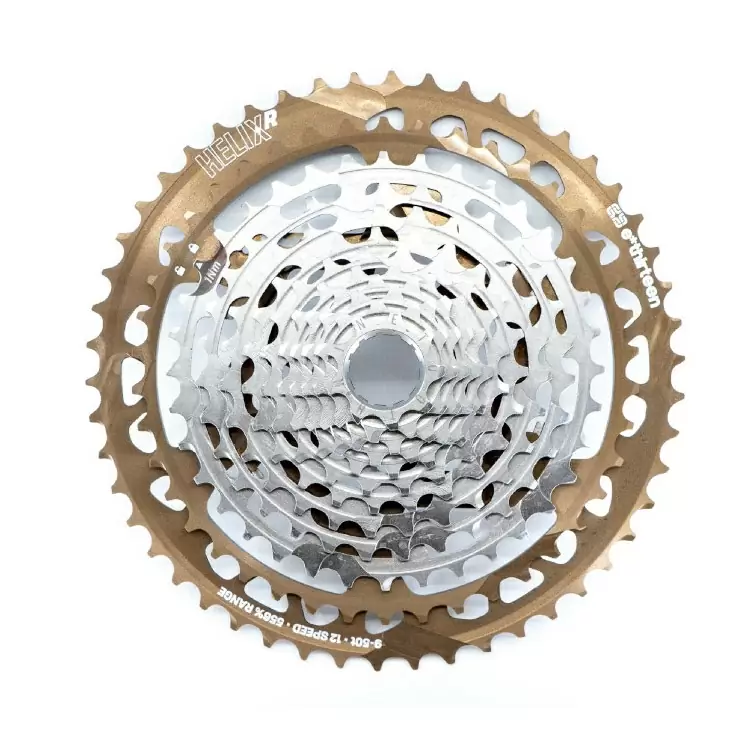 ridewill3655904