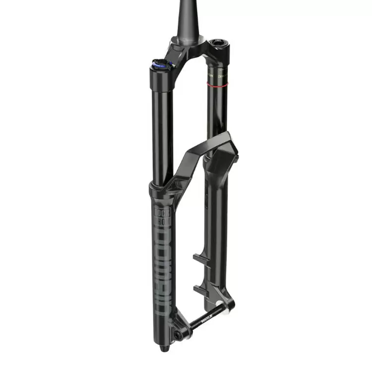 ridewill3681006