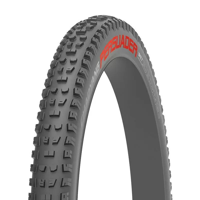 ridewill3698941