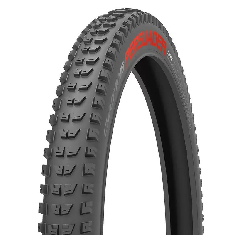 ridewill3699020