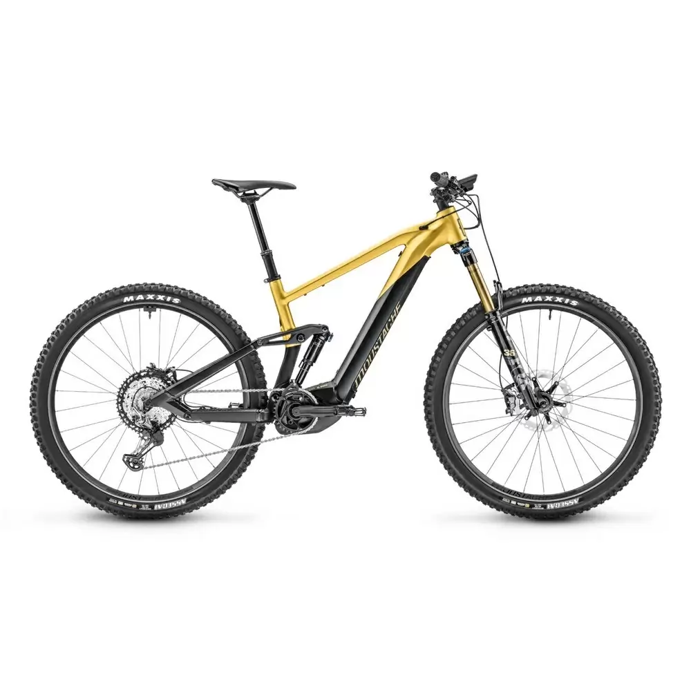 ridewill3699585