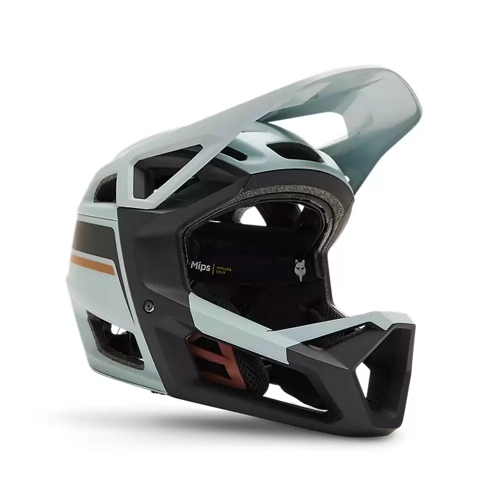 ridewill3719898