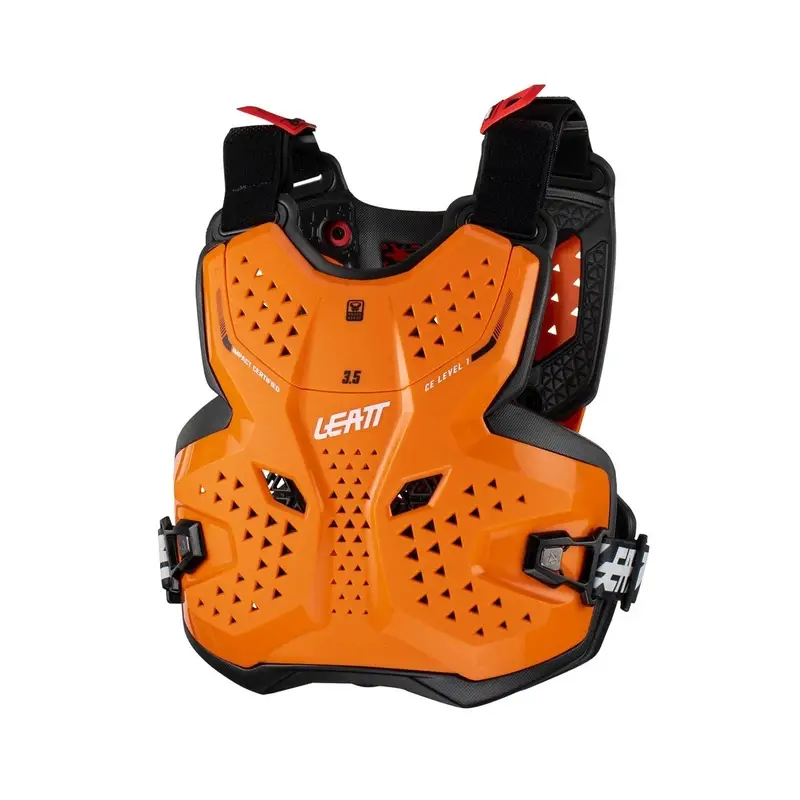 ridewill3729309