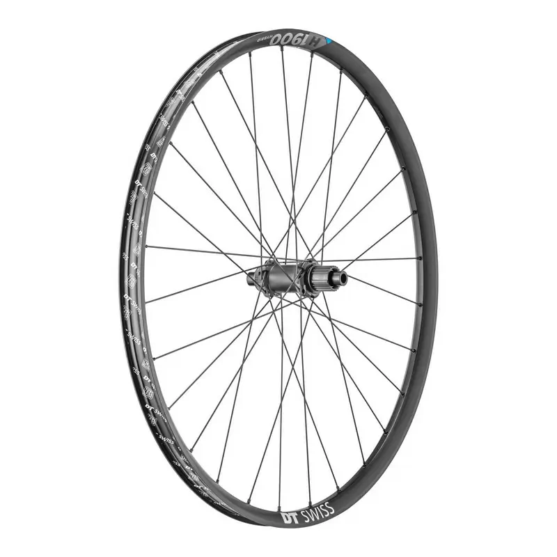 ridewill3751351