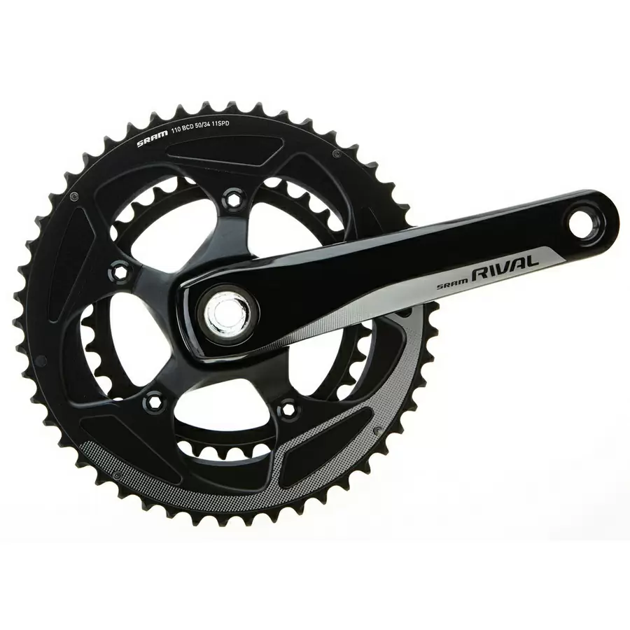 ridewill3780207