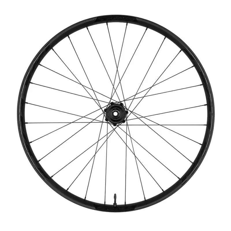 ridewill3791653