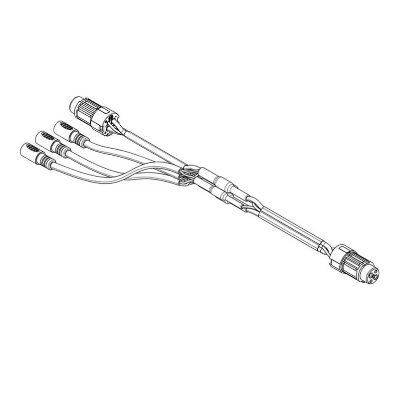 ridewill3805806