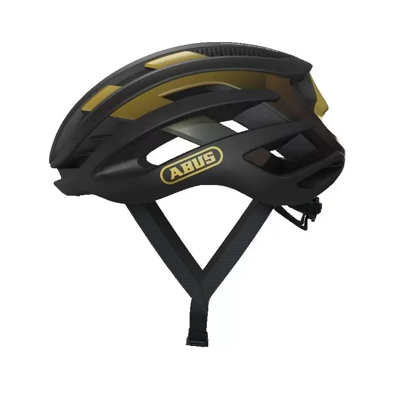 ridewill3806089