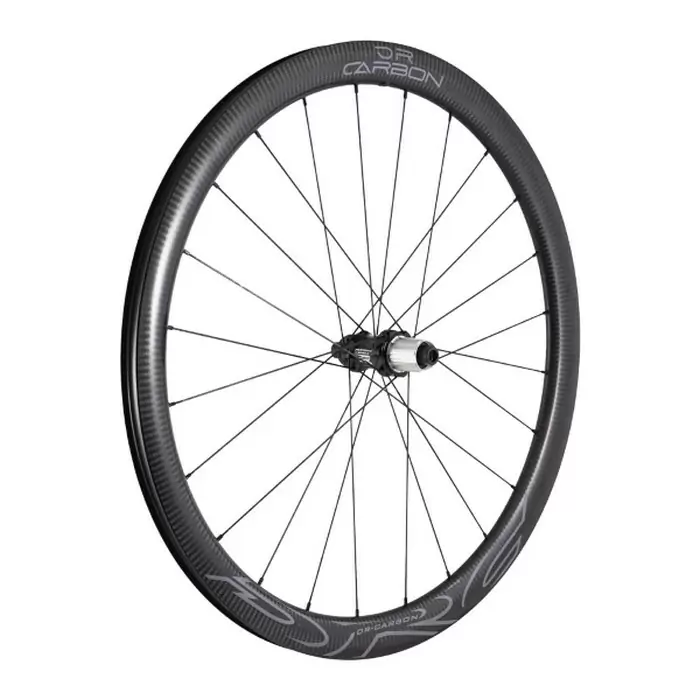 ridewill3842398