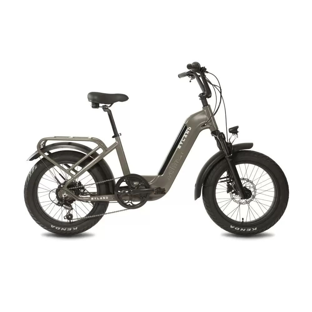 ridewill3843789