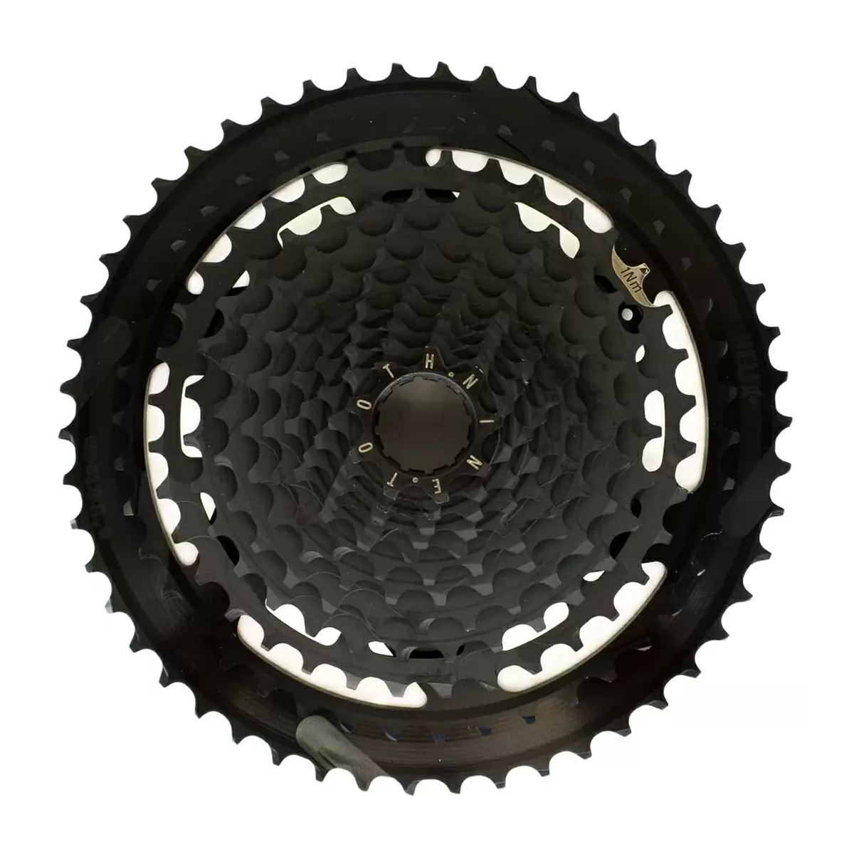 ridewill3844151