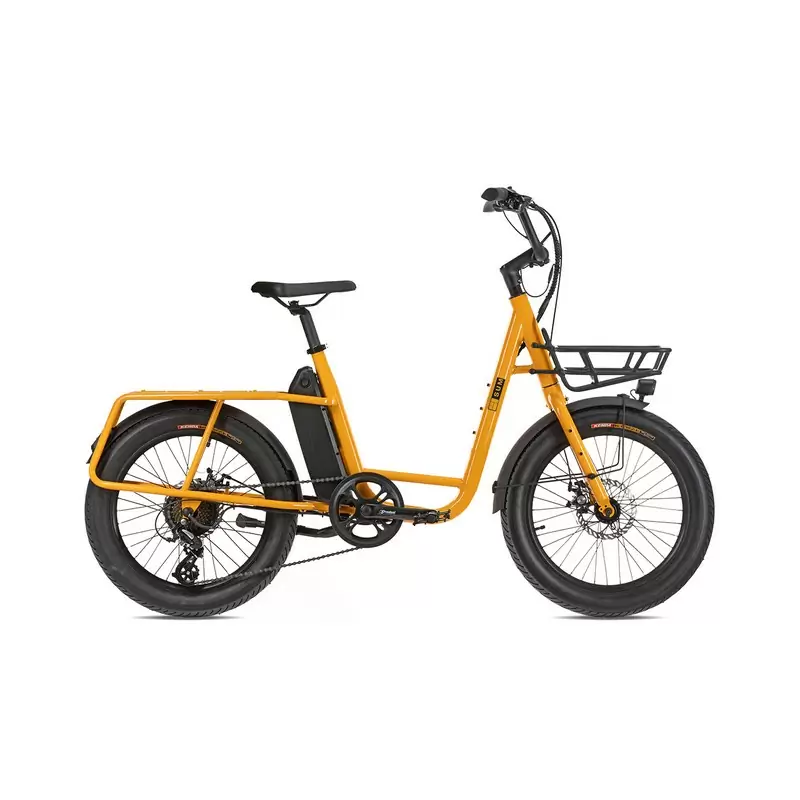 ridewill3865955