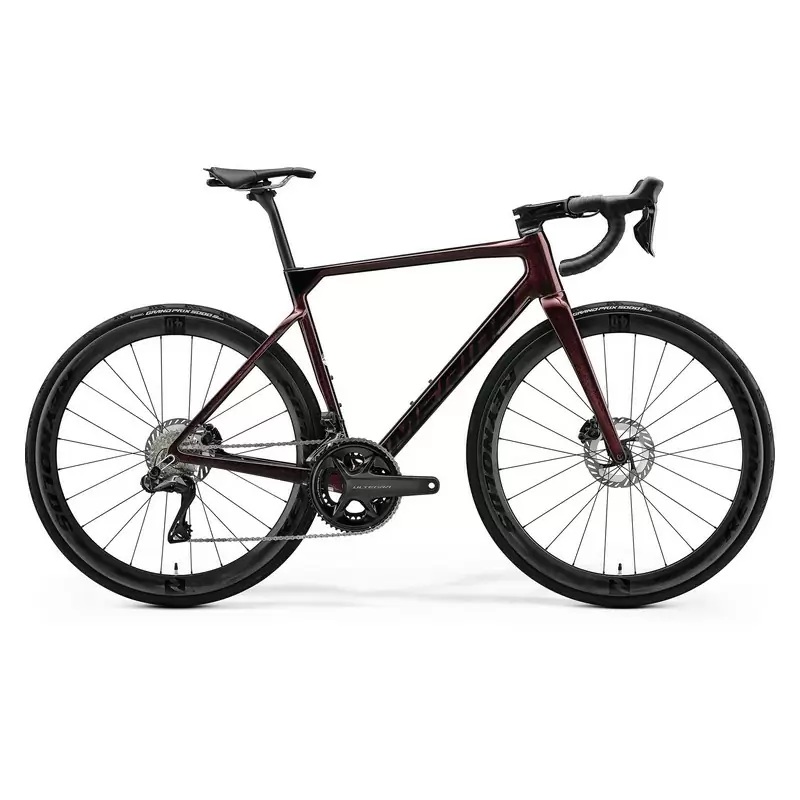 ridewill3870246
