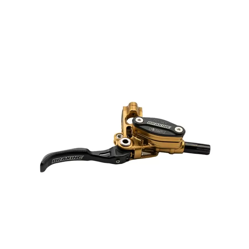 ridewill3875089