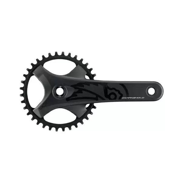 ridewill3880045