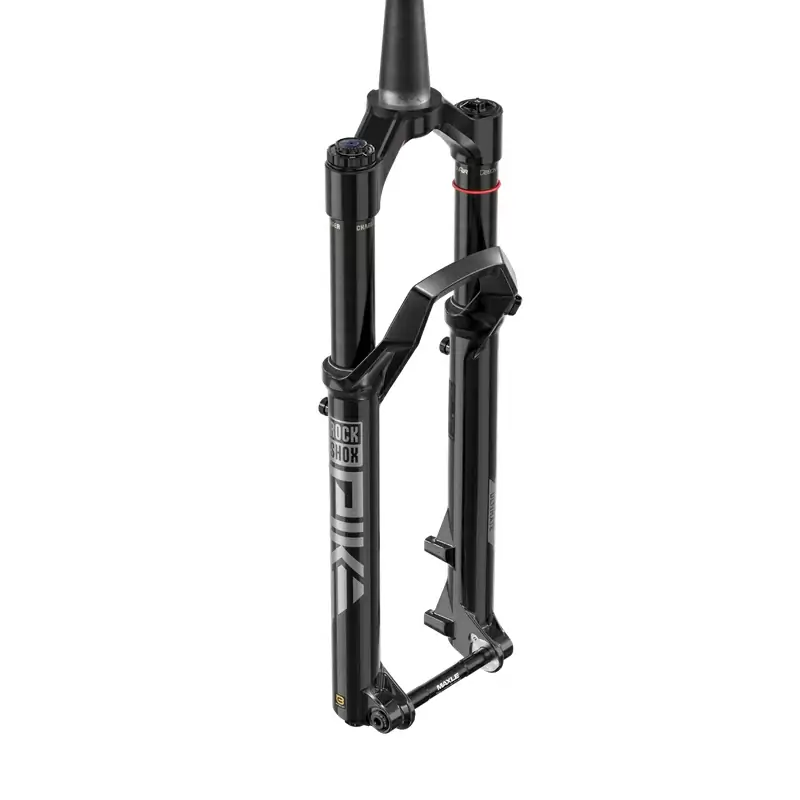 ridewill3931170