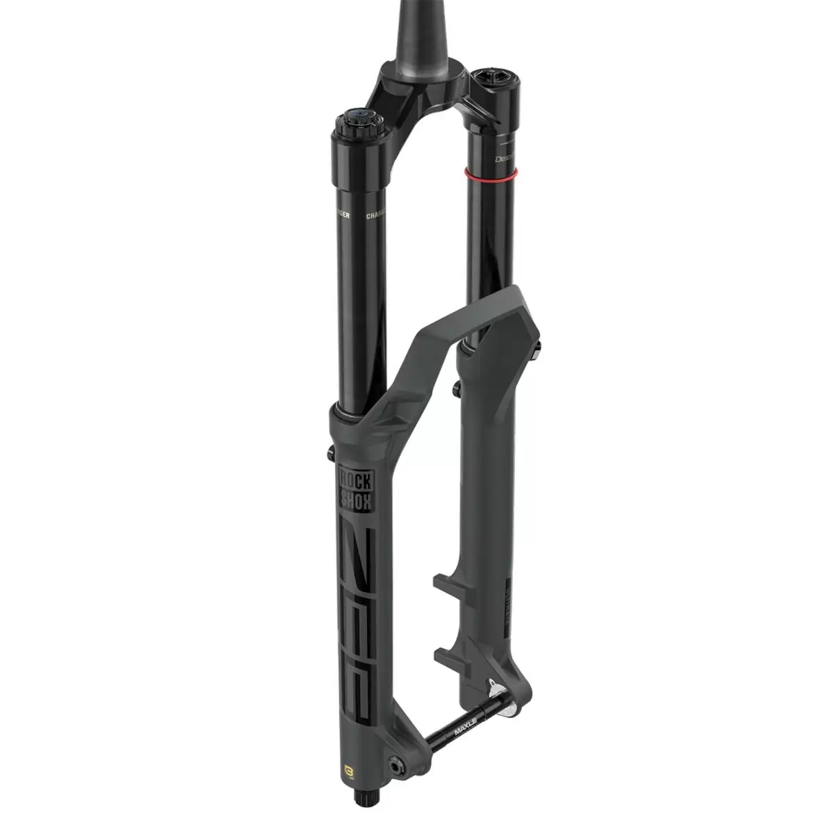 ridewill3931569