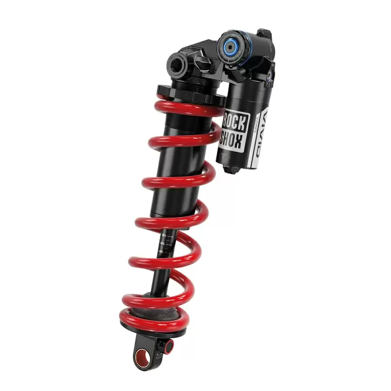 ridewill3935093