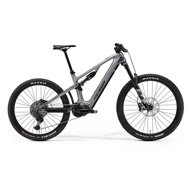 ridewill3936068