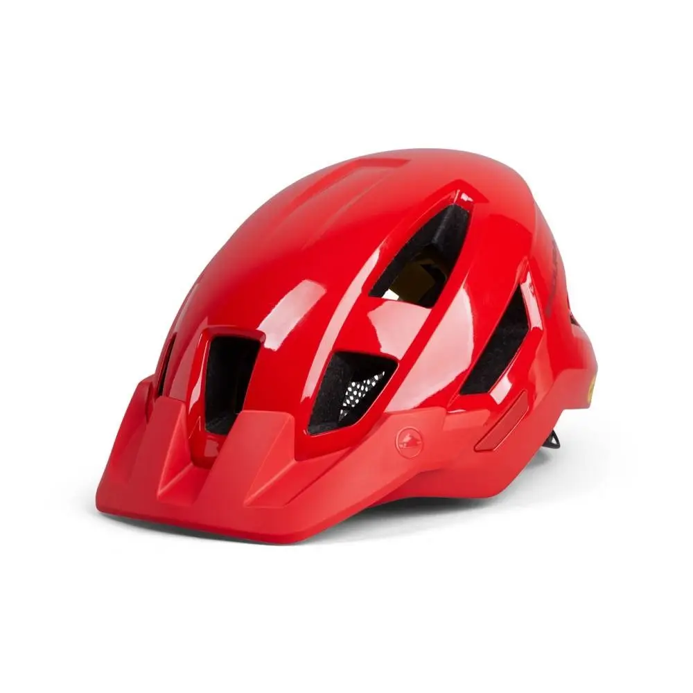 ridewill3937809