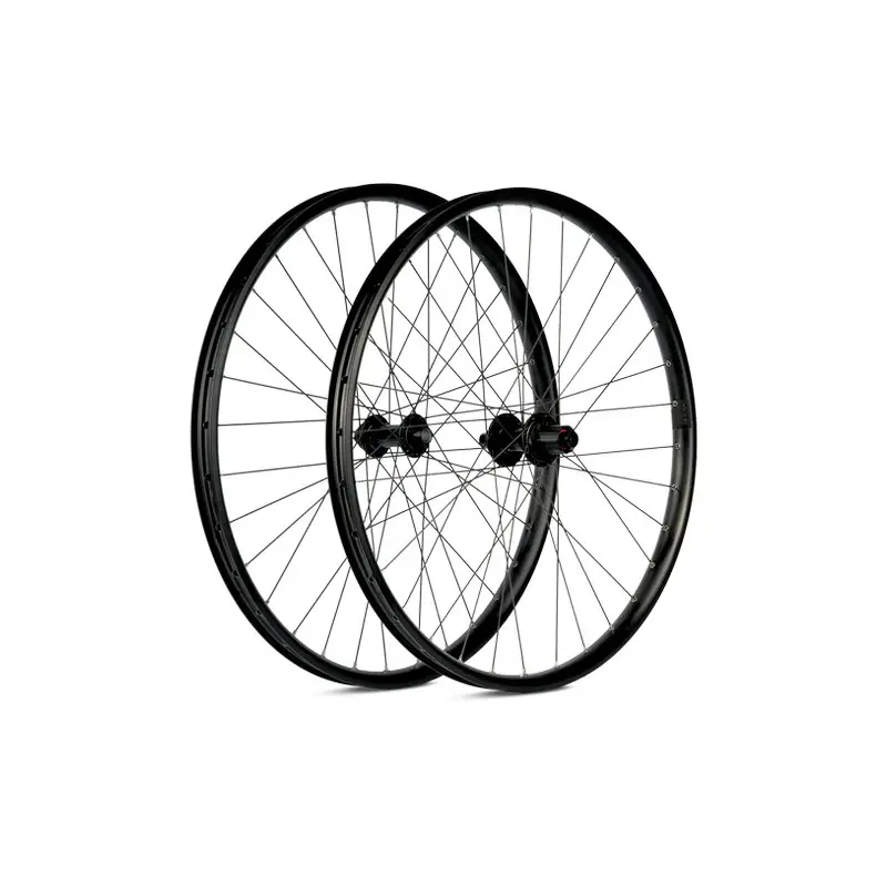 ridewill3953776
