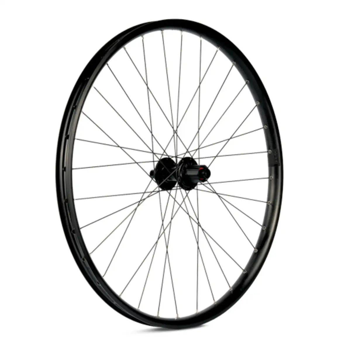 ridewill3953889