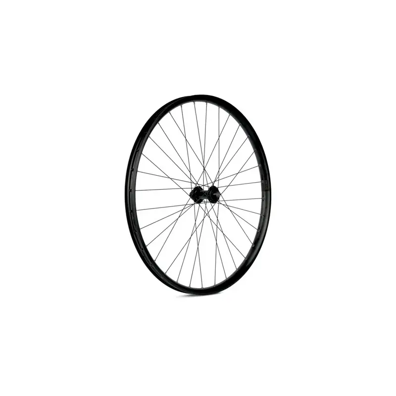 ridewill3953983