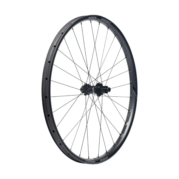 ridewill3959670