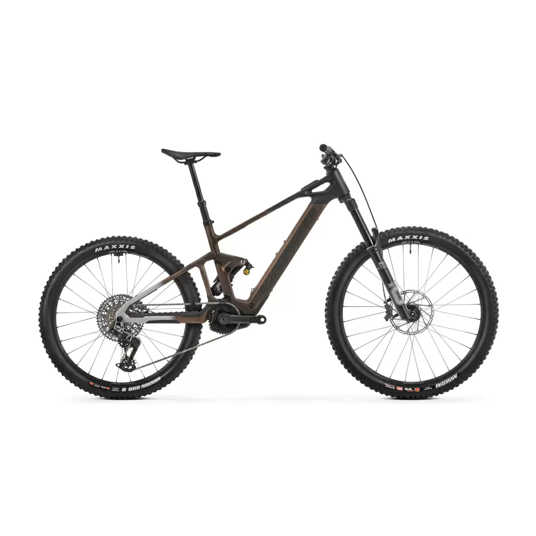 ridewill3962306
