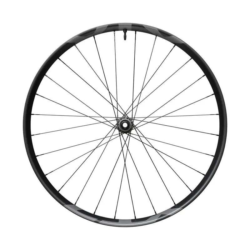 ridewill3991783