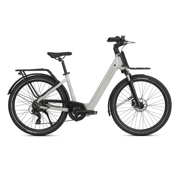 ridewill4005839