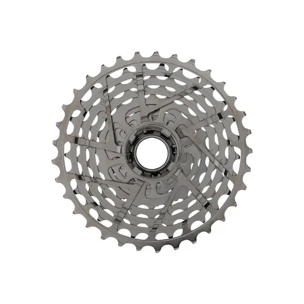ridewill4084791