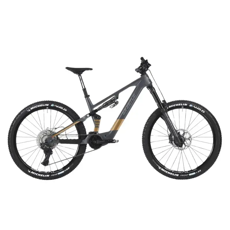 ridewill4134068
